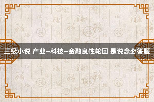 三级小说 产业—科技—金融良性轮回 是说念必答题