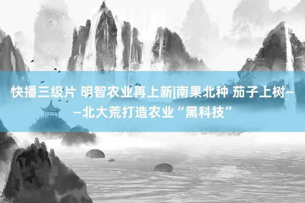 快播三级片 明智农业再上新|南果北种 茄子上树——北大荒打造农业“黑科技”