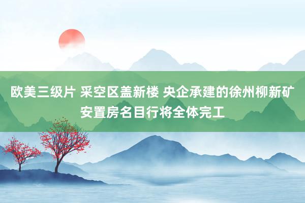 欧美三级片 采空区盖新楼 央企承建的徐州柳新矿安置房名目行将全体完工