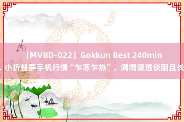 【MVBD-022】Gokkun Best 240min. 小折叠屏手机行情“乍寒乍热”，阛阓浸透谈阻且长