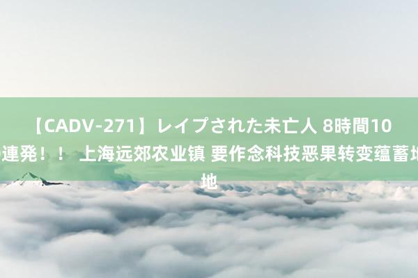 【CADV-271】レイプされた未亡人 8時間100連発！！ 上海远郊农业镇 要作念科技恶果转变蕴蓄地