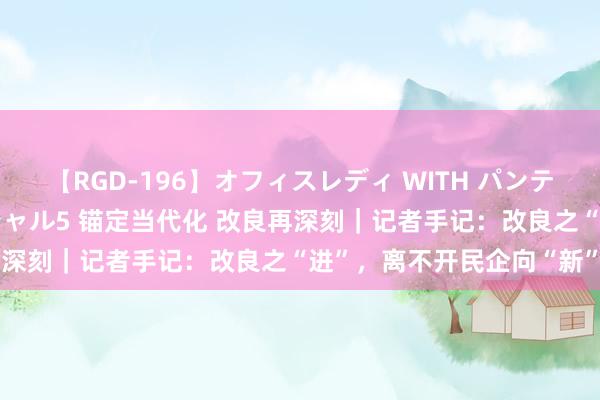 【RGD-196】オフィスレディ WITH パンティーストッキング スペシャル5 锚定当代化 改良再深刻｜记者手记：改良之“进”，离不开民企向“新”