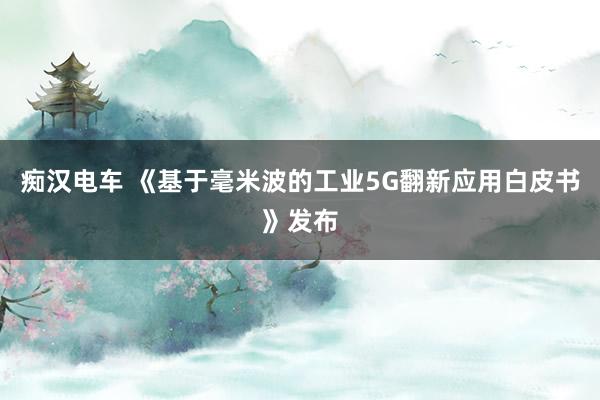 痴汉电车 《基于毫米波的工业5G翻新应用白皮书》发布