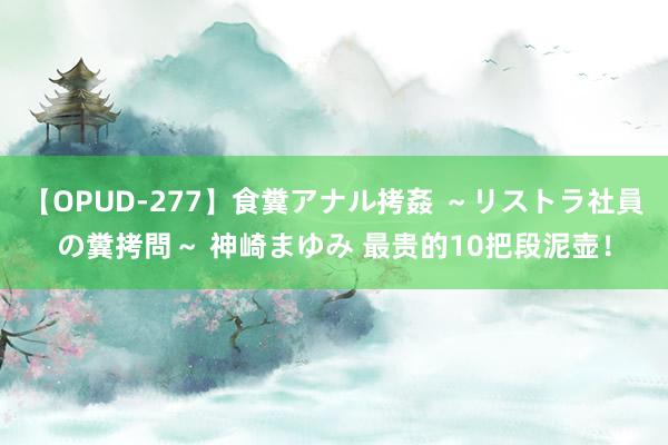 【OPUD-277】食糞アナル拷姦 ～リストラ社員の糞拷問～ 神崎まゆみ 最贵的10把段泥壶！