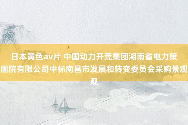 日本黄色av片 中国动力开荒集团湖南省电力策画院有限公司中标南昌市发展和转变委员会采购景观