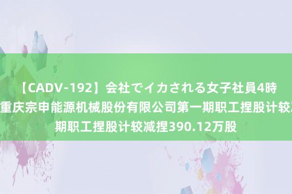 【CADV-192】会社でイカされる女子社員4時間 宗申能源鼓励重庆宗申能源机械股份有限公司第一期职工捏股计较减捏390.12万股