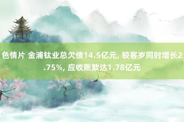 色情片 金浦钛业总欠债14.5亿元, 较客岁同时增长2.75%, 应收账款达1.78亿元