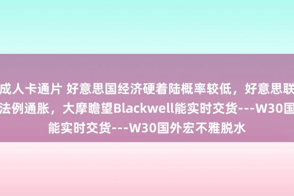 成人卡通片 好意思国经济硬着陆概率较低，好意思联储还是倾向于法例通胀，大摩瞻望Blackwell能实时交货---W30国外宏不雅脱水