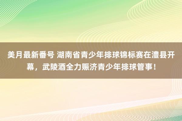 美月最新番号 湖南省青少年排球锦标赛在澧县开幕，武陵酒全力赈济青少年排球管事！