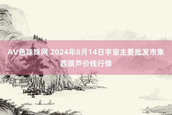 AV色妹妹网 2024年8月14日宇宙主要批发市集西葫芦价钱行情