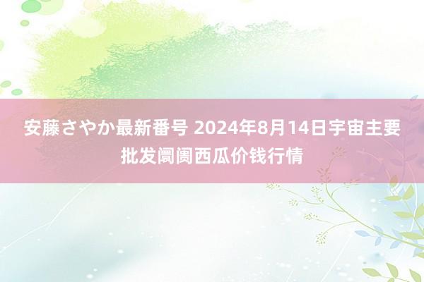 安藤さやか最新番号 2024年8月14日宇宙主要批发阛阓西瓜价钱行情