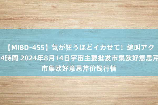 【MIBD-455】気が狂うほどイカせて！絶叫アクメ50連発4時間 2024年8月14日宇宙主要批发市集欧好意思芹价钱行情