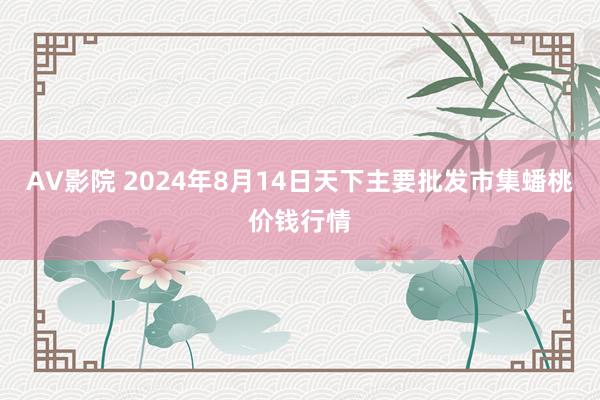 AV影院 2024年8月14日天下主要批发市集蟠桃价钱行情