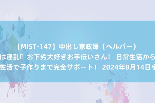 【MIST-147】中出し家政婦（ヘルパー） 清楚で美人な出張家政婦は淫乱・お下劣大好きお手伝いさん！ 日常生活から夜の性活で子作りまで完全サポート！ 2024年8月14日宇宙主要批发市集蛏子价钱行情