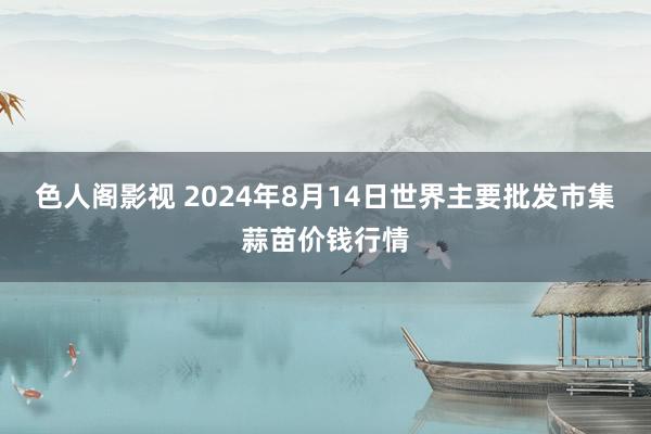 色人阁影视 2024年8月14日世界主要批发市集蒜苗价钱行情