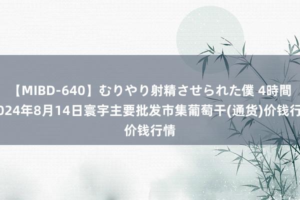 【MIBD-640】むりやり射精させられた僕 4時間 2024年8月14日寰宇主要批发市集葡萄干(通货)价钱行情