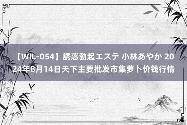 【WIL-054】誘惑勃起エステ 小林あやか 2024年8月14日天下主要批发市集萝卜价钱行情