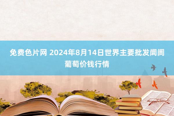 免费色片网 2024年8月14日世界主要批发阛阓葡萄价钱行情