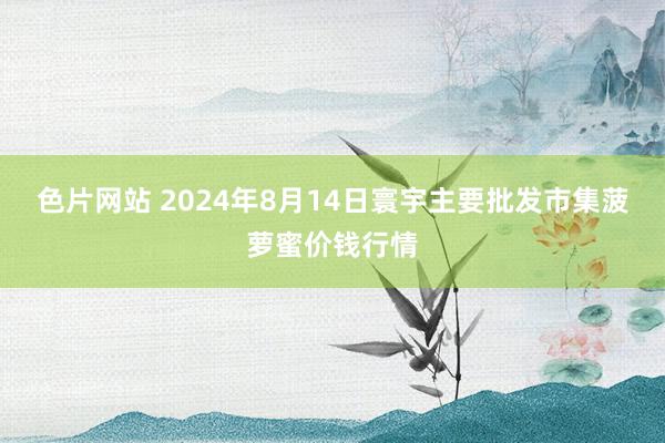 色片网站 2024年8月14日寰宇主要批发市集菠萝蜜价钱行情