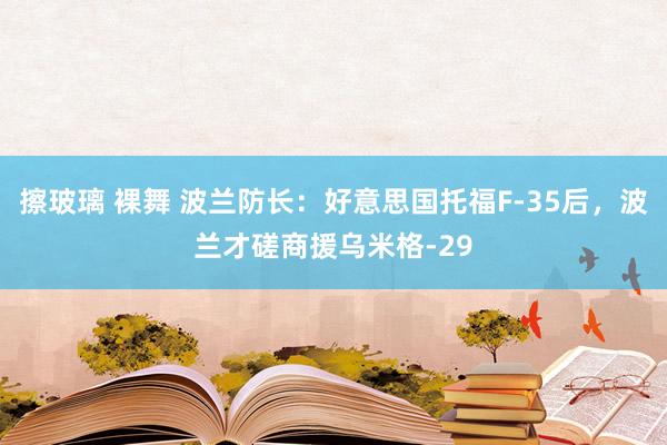 擦玻璃 裸舞 波兰防长：好意思国托福F-35后，波兰才磋商援乌米格-29