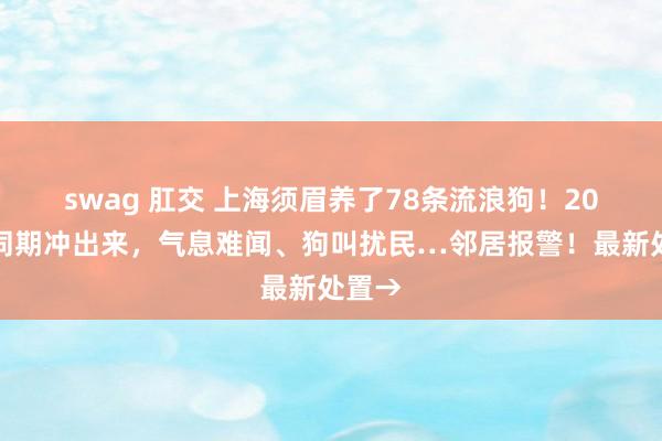 swag 肛交 上海须眉养了78条流浪狗！20条狗同期冲出来，气息难闻、狗叫扰民…邻居报警！最新处置→