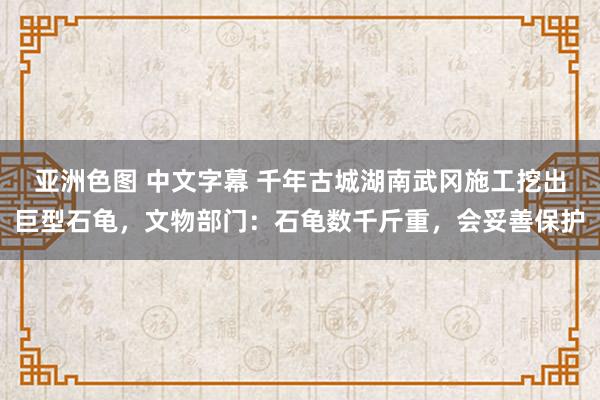 亚洲色图 中文字幕 千年古城湖南武冈施工挖出巨型石龟，文物部门：石龟数千斤重，会妥善保护