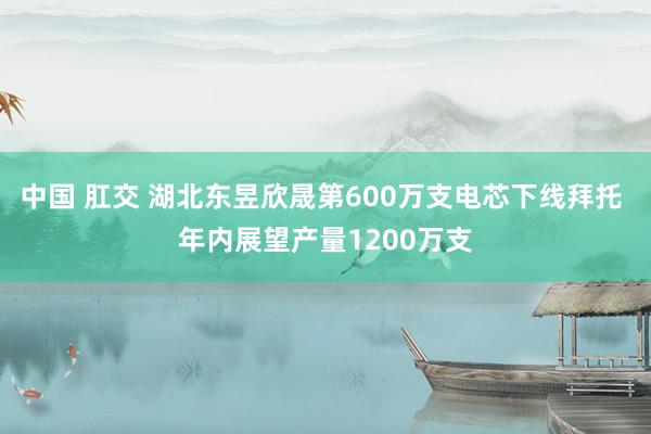 中国 肛交 湖北东昱欣晟第600万支电芯下线拜托 年内展望产量1200万支