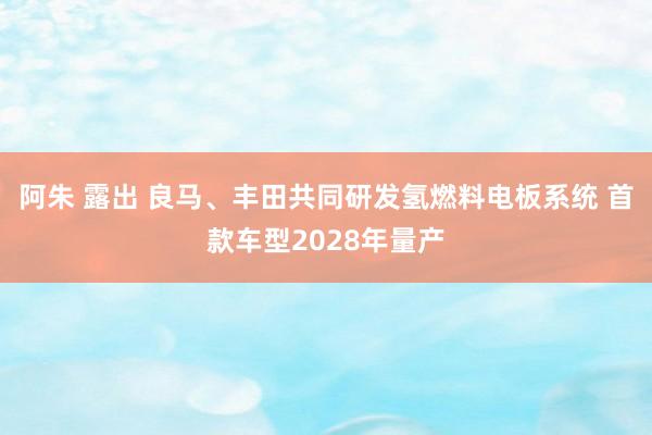 阿朱 露出 良马、丰田共同研发氢燃料电板系统 首款车型2028年量产