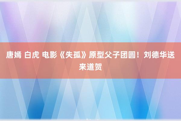 唐嫣 白虎 电影《失孤》原型父子团圆！刘德华送来道贺