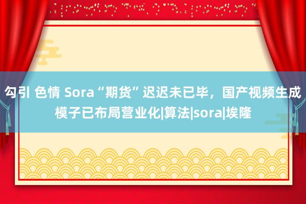 勾引 色情 Sora“期货”迟迟未已毕，国产视频生成模子已布局营业化|算法|sora|埃隆