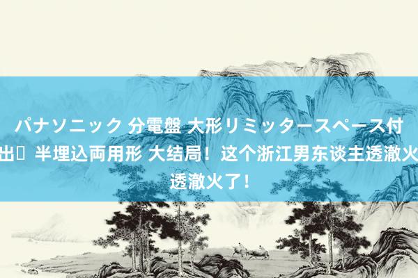 パナソニック 分電盤 大形リミッタースペース付 露出・半埋込両用形 大结局！这个浙江男东谈主透澈火了！