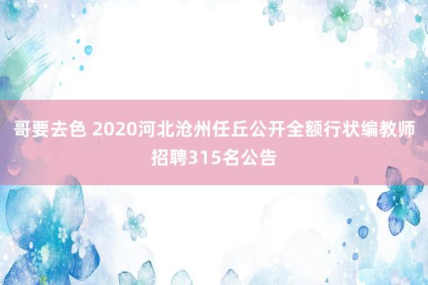 哥要去色 2020河北沧州任丘公开全额行状编教师招聘315名公告