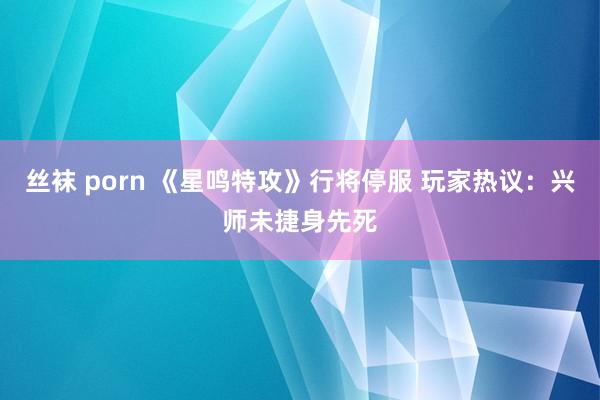 丝袜 porn 《星鸣特攻》行将停服 玩家热议：兴师未捷身先死