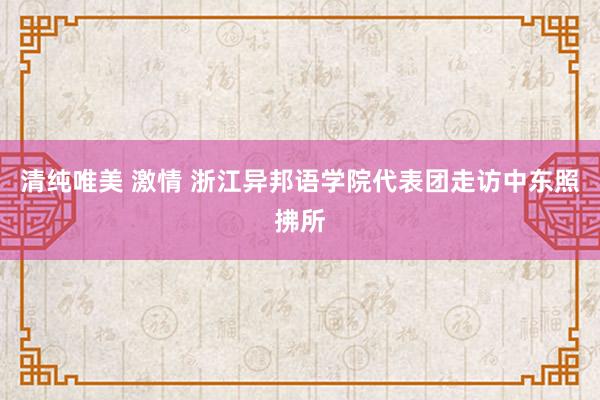 清纯唯美 激情 浙江异邦语学院代表团走访中东照拂所